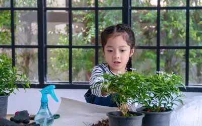 No Yard, No Problem: Container Gardening with Kids Made Easy