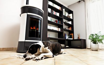 House Cleaning for Pet Owners: Tips and Tricks