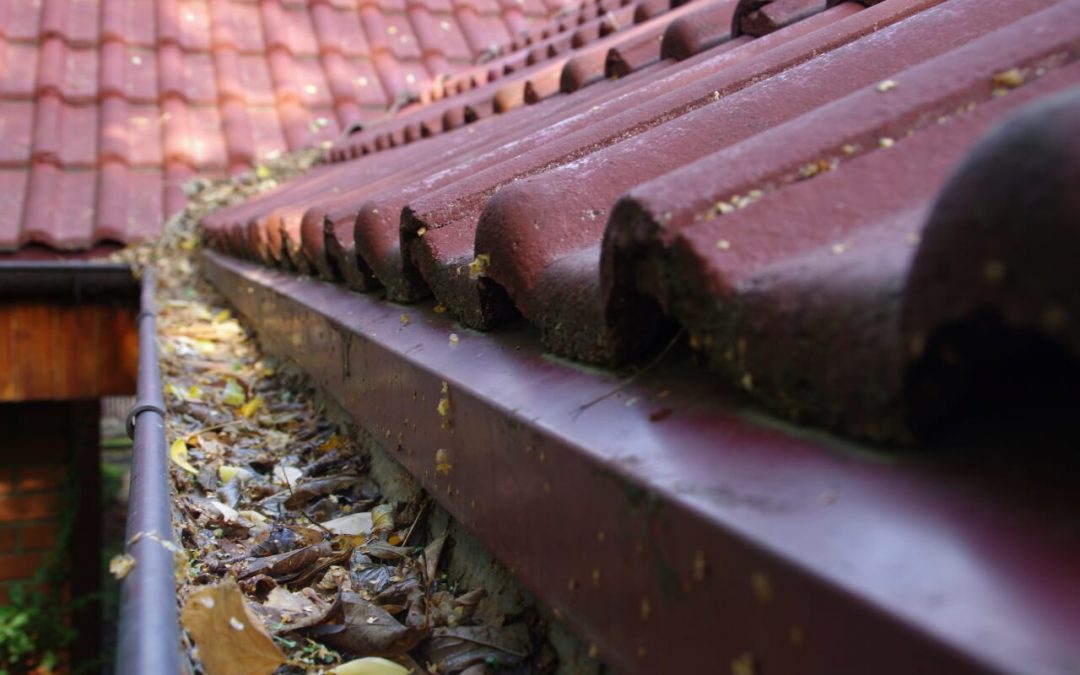 3 Ways to Clean Your Gutters