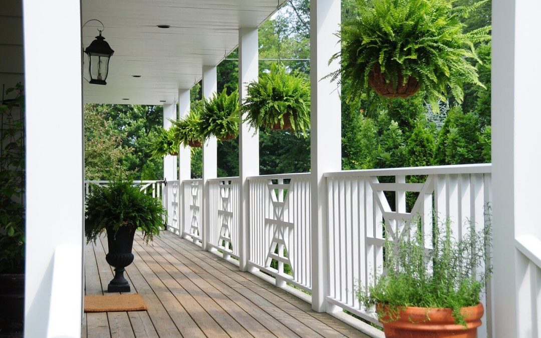 plants for your deck